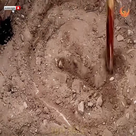 1.3K views | Top movie on netflix 2025 | Extreme Muscle Cars | Facebook