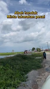 60K views · 1.5K reactions | Bila kuitan mau batagih pamakan ky ini asa himung hati,ayuha bah ai | ALuhh Kudakk | Facebook