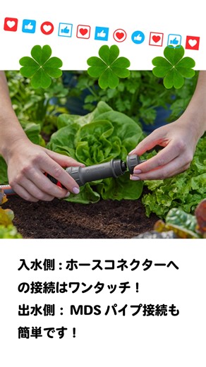 🌿GARDENA マイクロドリップシステム（MDS）よくある質問！🌿 🤔「どうやって水道の蛇口につなげるの？」 👉答え：とっても簡単！マスターユニットをホースにつなぐだけ！ 工具不要。すぐにスタートできます💧✨ ガーデニングをもっと楽しく、もっとスマートに🌼 🎥 FAQ 動画がわかりやすいです～是非ご覧ください！ ✨Amazon他販売店にて販売中のMDSセット品番： 13000-20/13002-20 13400-20/13401-20/13450-20/13455-20/13500-20/13501-20 #GARDENA #ガルデナ #マイクロドリップ #microdripsystem #自動散水 #散水 #ガーデニング #家庭菜園 #散水タイマー #夏ガーデニング #ガーデニング #ガーデニング初心者 #自動水やり #家庭菜園 | GARDENA