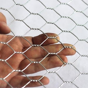 [Hot Item] Galvanized Hexagonal Wire Mesh for Fence Farm Chicken Mesh Net Hexagonal Poultry Netting