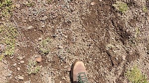 Do they ever miss me, though? #sierranevada #carsonicebergwilderness | Brett Dennen