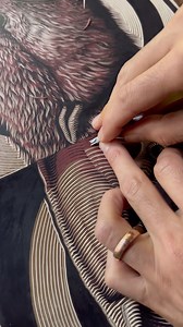 2.5K views · 75 reactions | Proceso de talla en linóleo ➰➰➰ Linoleum carving process #mazatl #linocut #printmaking  @cynthialopez_art | Mazatl | Facebook