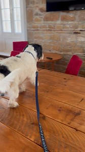 The castle hotel 🏨 | Fat ash explores