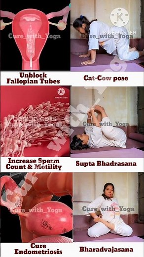 Goodbye Infertility! Unblock Fallopian Tubes | Increase Sperm Count & Motility | Cure Endometriosis