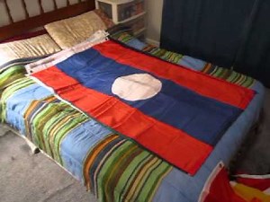 Asian Flag Collection