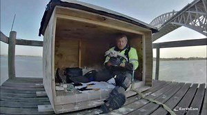 1.1K views · 31 reactions | The peregrine falcon chicks in Staten Island were recently banded - a process that helps scientists learn vital information about the birds! Check out the chicks live on EarthCam.com here: https://www.earthcam.com/usa/newyork/statenisland/?cam=falcon_panynj! | EarthCam | Facebook