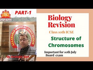 Structure of Chromosomes , Biology ICSE Class 10th Part-1