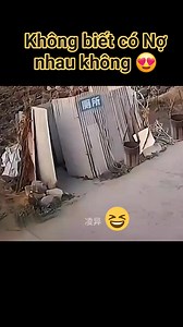 😎😎😎 Cre Lê Hải THANKS FOR WATCHING ❤ ❤❤❤❤❤ #haileshort #haileaudio | Lê Hải