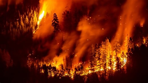 2023 Canada wildfires linked to nearly 70,000 deaths across US, Europe