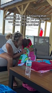 Canon event lol 😂🫶 #dogsofinstagram #labrador #chocolatelab | Tank the Brown Lab