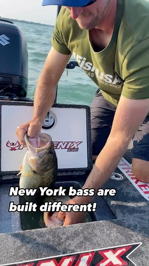 Insanely fat fish! 🤯 Matt Becker Fishing #fishusa #americastackleshop #newyork | FishUSA