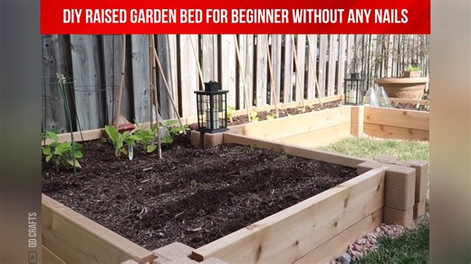 Want a gorgeous and functional raised garden bed without any hammering or nails? This video shows you how to easily build one using planter blocks! This method is perfect for beginners and requires minimal tools. Enjoy fresh produce and beautiful blooms all season long. | Indoor Plants Advisors | Facebook