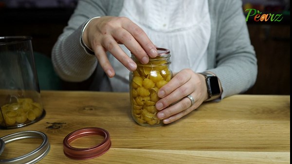 200 pcs (100 pcs Canning Lids + 100 pcs Rings) Regular Mouth Canning Lids, SplitType Lids for Mason Jar Canning Lids Regular Mouth Bulk, Split-Type Lids Leak Proof Secure (100 pc - Regular 70mm, Gold)