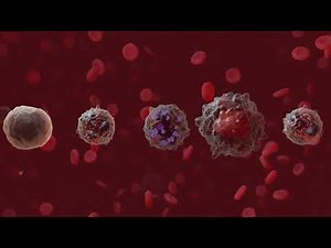 Blood Composition Medical Animated Video || #blood #composition