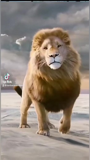 Barbara Saintlouis on Reels