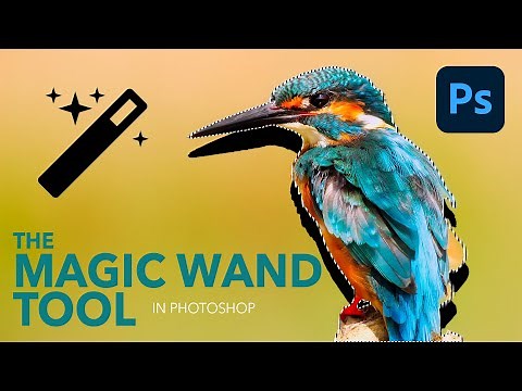 How To Use The Magic Wand Tool In Photoshop - A Complete Guide