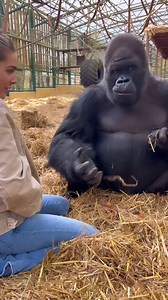 236K views · 2.7K reactions | Kifu is telling his wife not to take any of his food | Freya Aspinall Lee | Facebook