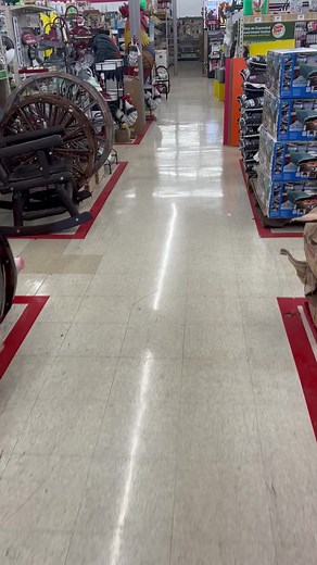 #chickdays #tractorsupply #TSC #chickenmath | Michele Radcliff