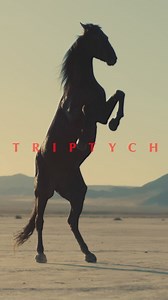 TRIPTYCH , TOMORROW FRIDAY 21 !!! | Miss Velvet