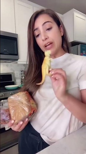 Dino shaped sandwich