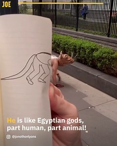 642K views · 43K reactions | This flip book art is incredible 朗 | JOE.co.uk | Facebook