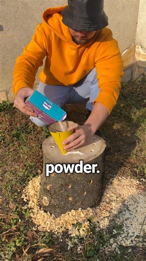 16K views · 157 reactions | Genius Panda on Reels | Facebook