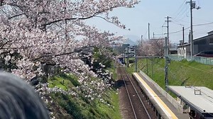 今日の『金曜ライブ #いまドキッ！』中継は香川県綾川町の #挿頭丘（かざしがおか）駅からでした‼️🌸中継中にやってきた #ことでん にライブで乗れて良かった‼️😆#RSKテレビ