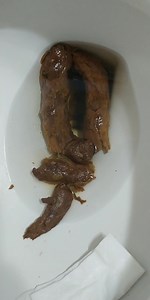 Toilet poop 4 - the flush