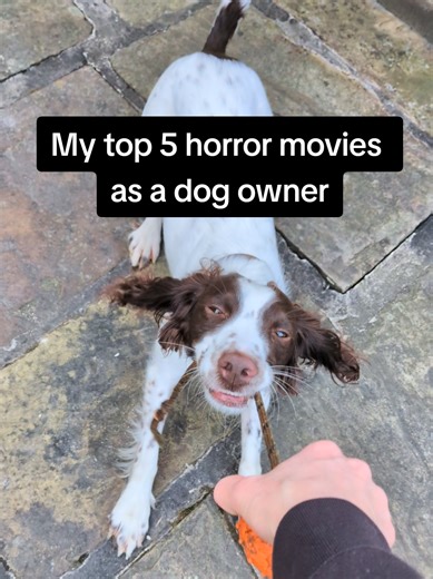 My top 5 horror movies as a dog owner: 1.Random limp 2.Ignoring recall 3.Runny poop 4. Penny eating rabbit & sheep poop 5.Leaving her home alone