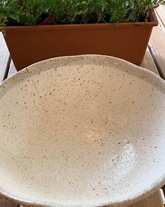 Treccia with pesto aka pesto cream bomb after 10 minutes when the cream has leached out of the cheese. Treccia is available this xmas weekend. Come quickly for it. | The Cheese Ark