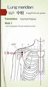LU1 lung meridian