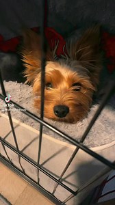 Billy Parker on Reels