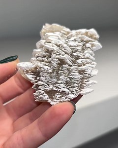 Superb Selenite! Locality: Markish-Oderland, Brandenburg, Germany Credits: @pacificminerals Geology Love