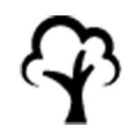 Tree Removal Dubbo | A1 Tree Services NSW