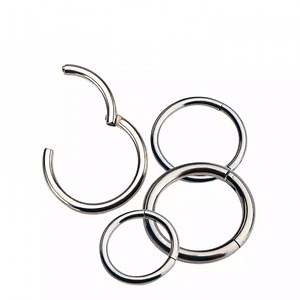 [Hot Item] Fashion ASTM F136 G23 Titanium Hinged Segment Ring Clicker CZ Nose Cross-Border Sales Piercing Jewelry Earring Closed Circle Jewelry