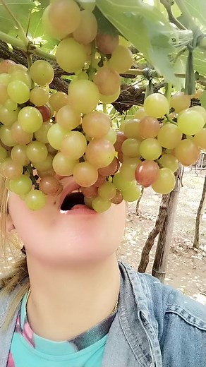 grapes kau jan | Madam Aura