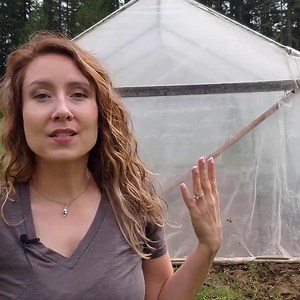 19K views · 435 reactions | Reasons to Build a High Tunnel | Pioneering Today - Melissa K. Norris | Facebook