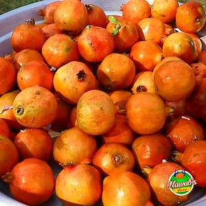 Homemade Pomegranate Jam Recipe | How To Make Jam At Home | Pomegranate Jam by Nawabs kitchen #pomegranatejam #kidsrecipe #jamrecipe #homemadejam #nawabskitchen | Nawab's Kitchen