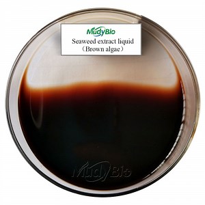 [Hot Item] Bulk Price Brown Algae Extract Liquid Seaweed Fertilizer Organic Seaweed Extract Biostimulant