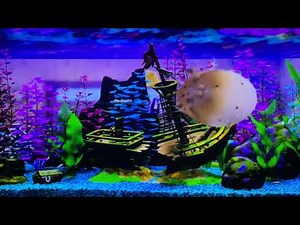 Finding Nemo (2003) DVD Menu Walkthrough (Disc 2)