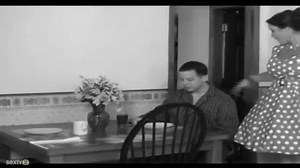 Leave It To My Beaver