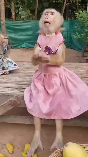 YaYa big clap clap clapping 👏 | YaYa Note