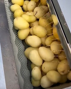 119K views · 324 reactions | Washing and peeling potatoes machine! | Handy Dandy | Facebook