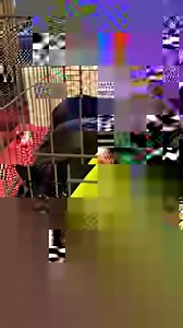 Association LISA on Reels