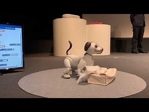 Sony Robotic Dog Aibo Can Now Perform New Tasks