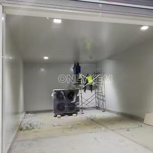 [Hot Item] Harga Ruang Penyimpanan Dingin Apel untuk Buah