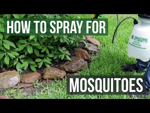 Spraying for mosquitoes eliminate mosquitoes
