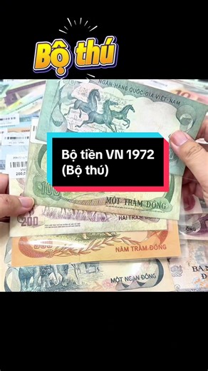 Spring Đào Sưu tầm tiền trên TikTok