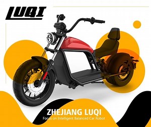 [Hot Item] Good Quality Removable Lithium Battery Cycle Charge Fashionable Electric Citycoco