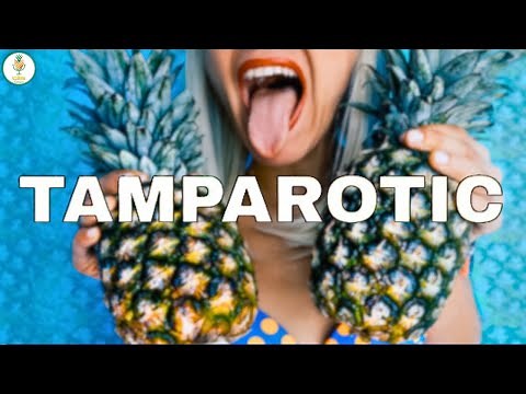 BEST Hotel Takeovers in Florida? | Swingers Lifestyle | TampArotic INTERVIEW | Part 1